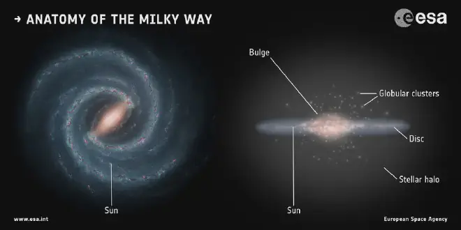 Anatomy of the Milky Way