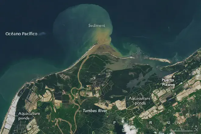 El serpenteante río Tumbes, las lagunas de cultivo de camarón, con las cubiertas blancas y las otras, verdes. Crédito de la imagen: Imagen procesada por Lauren Dauphin, del NASA Earth Observatory, con información de U.S. Geological Survey y los satélites Landsat