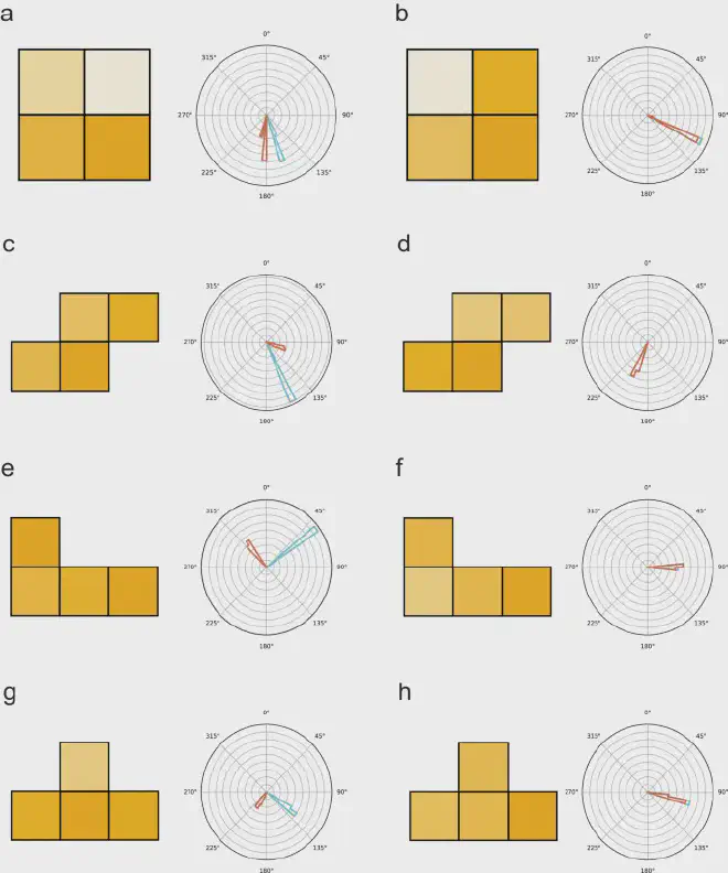 Directional radiation detection with prediction with static tetris detectors. Image credit: Mingda Li et al.
