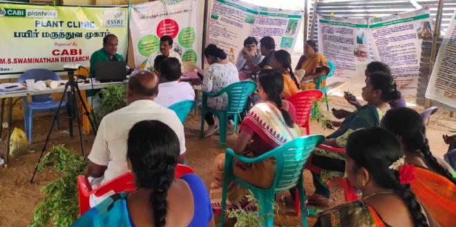 The plant clinic is typically set up in a common area within a village where farmers bring samples of their plants to showcase pest symptoms.