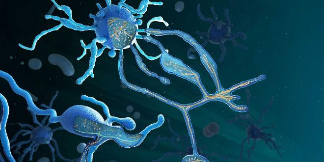 An artist’s depiction of an Asgard archaeon, based on cryo-electron tomography data: the cell body and appendages feature thread-like skeletal structures, similar to those found in complex cells with nuclei. (Graphic credit: Margot Riggi, Max Planck Institute of Biochemistry)