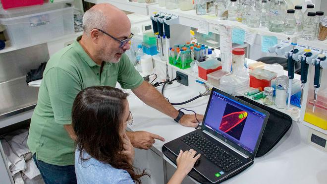 Javier Palatnik and Julia Baulies observing the fluorescence microscopy images of Arabidopsis roots. Photo: Elizabeth Karayekov