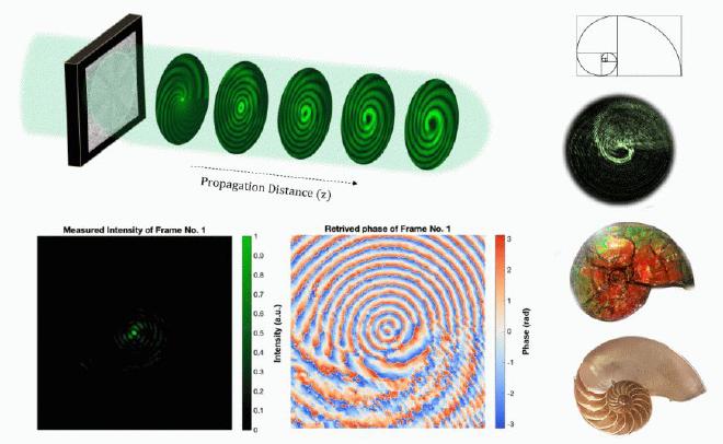 Evolution of a light beam carrying optical rotatum as a function of propagation distance. The rotatum was created with a simple setup using a liquid crystal display.Image Credit: Ahmed Dorrah et al.