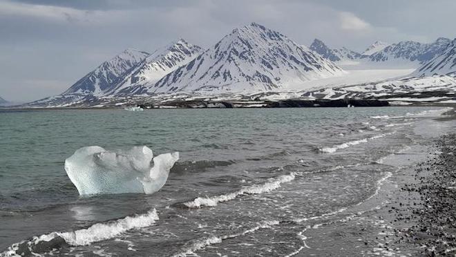 Global warming may weaken Arctic fjords’ ability to store carbon. This is Kings Bay in Svalbard. Image credit: Till Bruckner / UiT