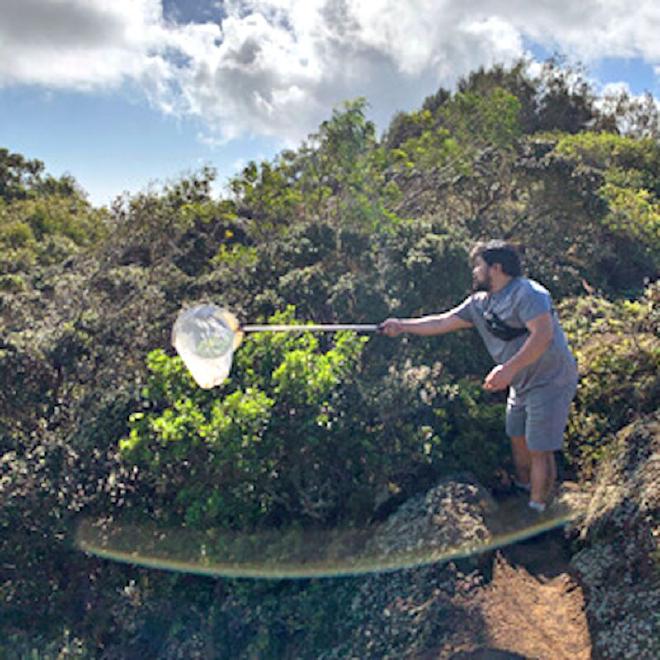 Researcher Michael San Jose collecting moths in the field to take back to the lab.