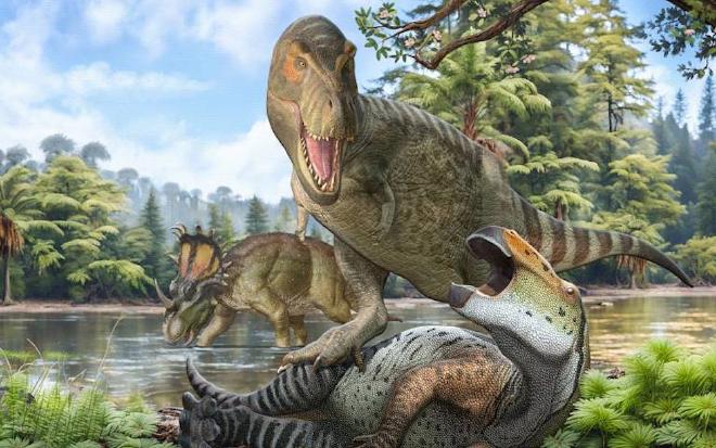 This crop illustrates the end Cretaceous northern hemisphere fauna, which was dominated by tyrannosaurids (such as Tyrannosaurus rex), hadrosaurs and ceratopsian ornithischian dinosaurs. Credit: Pedro Salas and Sergey Krasovskiy.