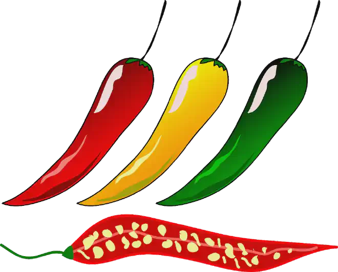 Image by OpenClipart-Vectors