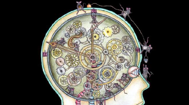 Illustration of the biological clock. Courtesy: Maximiliano Ríos