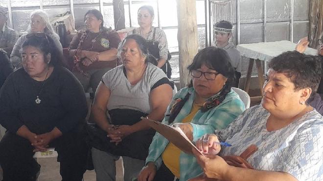 Crédito de la imagen: Comunidad Rosa Moreno Mariqueo