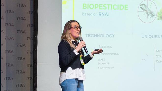 María José Blariza, a CONICET researcher at the IBS, is one of the members of the team developing the biopesticide. Image: Courtesy of researchers