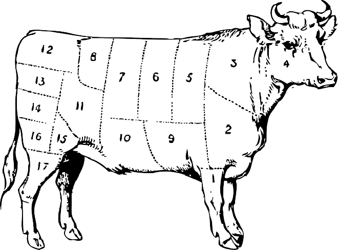 Image by Free-Vector-Images in Pixabay