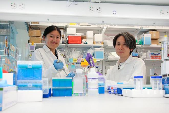 Penn Engineering researchers Emily Han and Dongyoon Kim, from left to right. Credit: Bella Ciervo