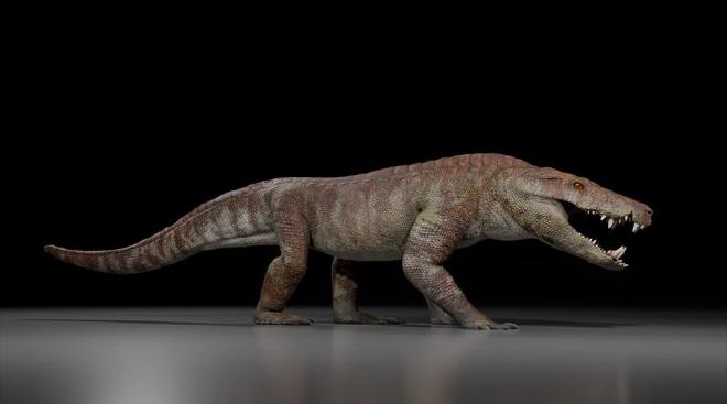 Reconstrucción de Kostensuchus atrox realizada por Gabriel Díaz Yanten. Foto: gentileza investigadores