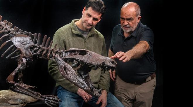 Marcelo Isasi y Fernando Novas, junto a los huesos del cocodrilo Kostensuchus atrox. Foto: gentileza investigadores