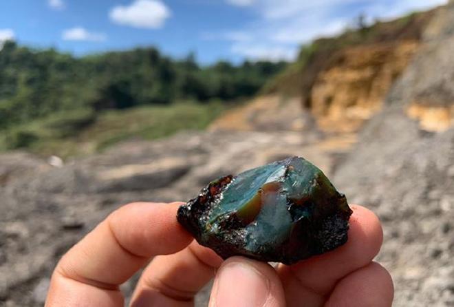 El descubrimiento, que tuvo lugar en la provincia de Napo (Ecuador), abre una ventana única al pasado: permite conocer la rica biodiversidad de un denso y húmedo bosque tropical en el hemisferio sur hace unos 112 millones de años, cuando los continentes modernos se separaron del supercontinente Gondwana y los grandes reptiles dominaban los ecosistemas terrestres. Crédito de la imagen: Universidad de Barcelona