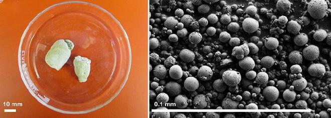 Reptiles don’t urinate like humans do; instead, they pass these solid “urates” (left). Researchers found that urates consist of tiny microspheres composed primarily of uric acid (right). Credit: Adapted from the Journal of the American Chemical Society 2025, DOI: 10.1021/jacs.5c10139