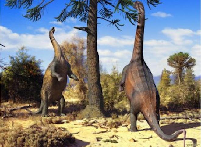 Two Neuquensaurus stand on their hind legs to reach the top of a tree. Computational analyses indicate that the species could easily remain in this position 66 million years ago. Credit: Guilherme Gehr