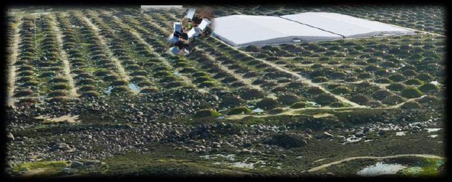 LHAASO experiment. (Credit: LHAASO Collaboration)