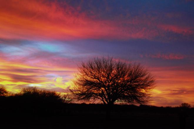 Image by Juanedc from Zaragoza, España - Atardecer en el caldenal, CC BY 2.0