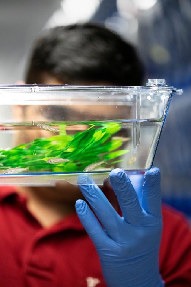 Peekaboo. Image credit and copyright: ISTA