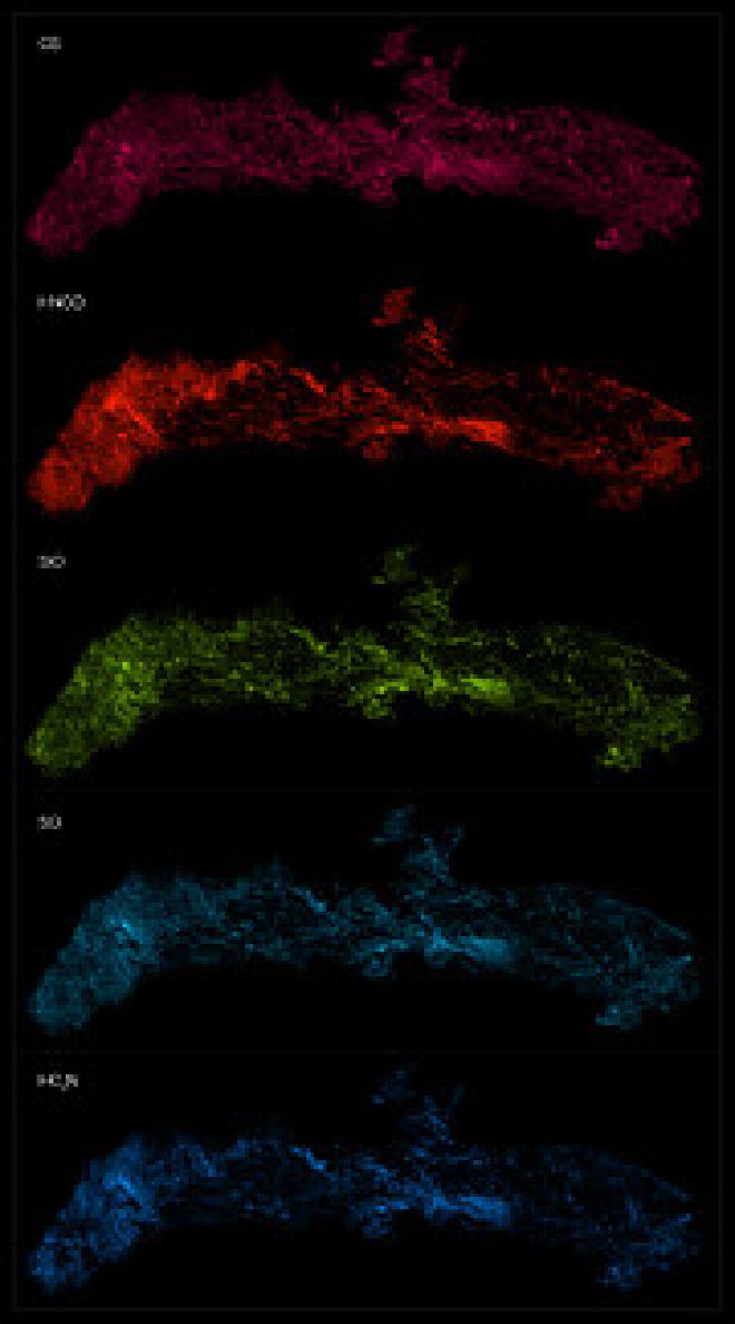 Different molecules in the centre of the Milky Way observed with ALMA. This montage shows the distribution of different molecules in the Central Molecular Zone (CMZ) of the Milky Way. The observations were made with the Atacama Large Millimeter/submillimeter Array (ALMA), as part of the ALMA CMZ Exploration Survey or ACES. ACES has mapped the distribution of several dozen molecules at the centre of our galaxy. Here we show five of them, from top to bottom: carbon monosulphide, isocyanic acid, silicon monoxide, sulphur monoxide, and cyanoacetylene. Image credit: Credit: ALMA(ESO/NAOJ/NRAO)/S. Longmore et al.