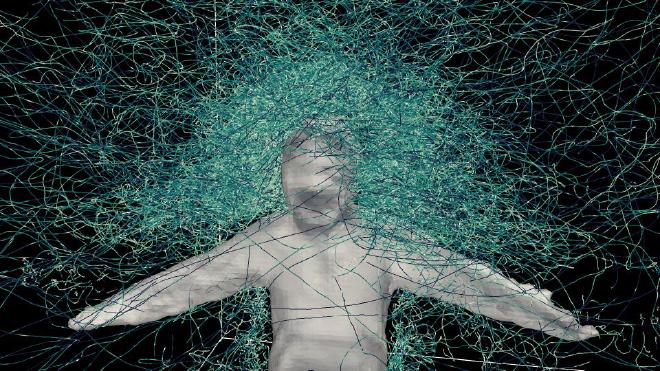 Trajectories of mosquitoes flying around a human target. David L. Hu, Georgia Tech