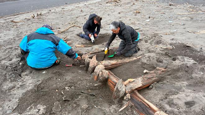 Survey of boat wreckage in Franklin Bay, on Isla de los Estados.
