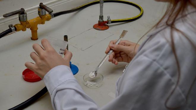 La investigación refleja los primeros resultados publicados de todos los ensayos que se están realizando desde la firma del convenio. Crédito de la imagen: CONICET Fotografía/Rayelen Baridon.