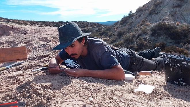 Gerardo Álvarez Herrera looking for fossils in the excavation of Paleoteius. Photo: courtesy of researchers.