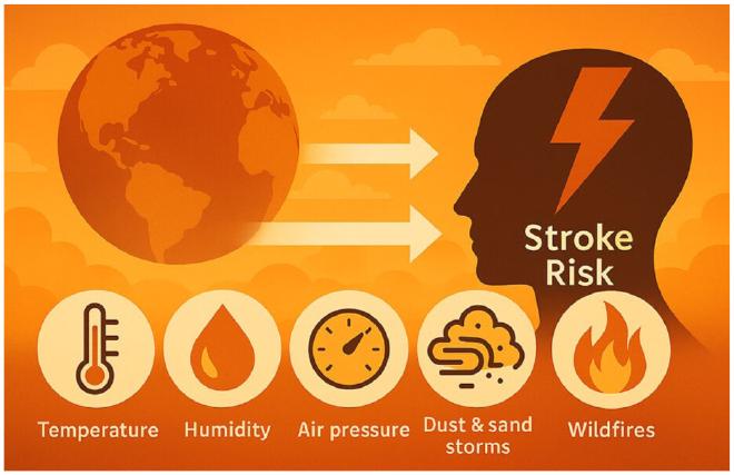 Potential climate change-related stroke risk factors. Image credit: Ana Ranta et al.