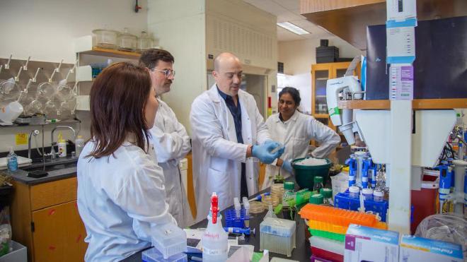 Las plantas utilizan ácido salicílico (la base de la aspirina) como parte de su defensa inmune contra las enfermedades, pero usada en demasía daña el crecimiento de las plantas**. Nitzan Shabek y su equipo de UC Davis han descubierto cómo las plantas regulan la cantidad de ácido salicílico en circulación. El trabajo podría conducir a mejoras en la productividad de los cultivos. De izquierda a derecha: los académicos postdoctorales Sunhyun Chang y Jacob Moe-Lange, Shabek y el académico postdoctoral Malathy Palayam. Crédito de la imagen: Katrina Huynh, Facultad de Ciencias Biológicas de la UC Davis