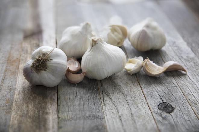 S1PC, a bioactive compound obtained from aged garlic extract, promotes the release of a key anti-aging enzyme from fat tissue that travels to the brain, activates sympathetic nervous system, improving muscle frailty in aged mice. Image credit: Kjokkenutstyr.net from Openverse Image