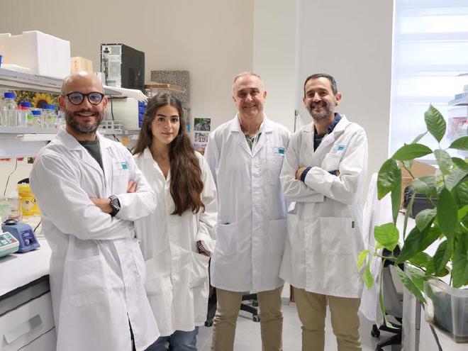 A study led by researchers from the Department of Microbiology at the University of Malaga has revealed how organic farming –the one that uses natural substances and processes, avoiding the use of synthetic chemicals– can, in the long term, help crops become more resistant to drought in a natural way. Image credit: University of Malaga
