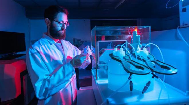 El Dr. Nicolas Bourgon preparando muestras para el análisis de isótopos estables de zinc utilizando un MC-ICP-MS Thermo Scientific Neptune, destinado a medir composiciones isotópicas en este estudio. Crédito de la imagen: Max Planck Institute of Evolutionary Anthropology
