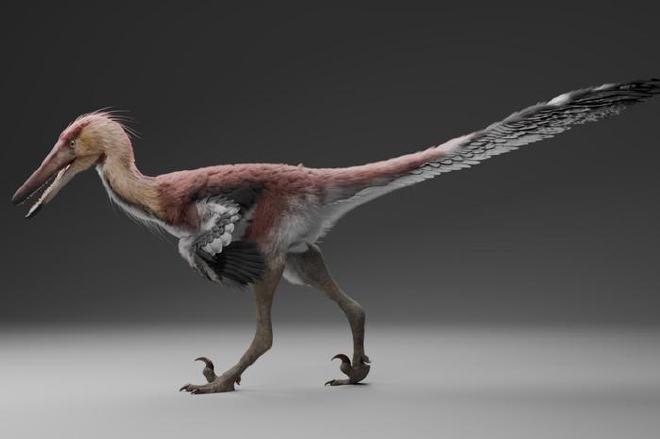 A reconstruction of Kank by the artist Gabriel Díaz Yantén. mage credit: Gabriel Díaz Yantén
