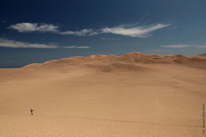 Picture of Atacama Desert. Image credit: Benedikt Ritter-Prinz | University of Cologne