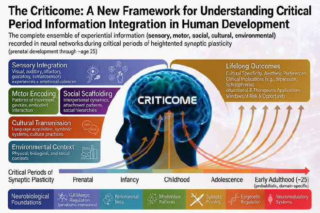 Criticome: La ventana del devenir. Cinco categorías de información experiencial (sensorial, motora, social, cultural y ambiental) se integran en la arquitectura neuronal en desarrollo durante períodos críticos de plasticidad sináptica, que abarcan desde el desarrollo prenatal hasta aproximadamente los 25 años. Crédito de la imagen: Julio Licinio