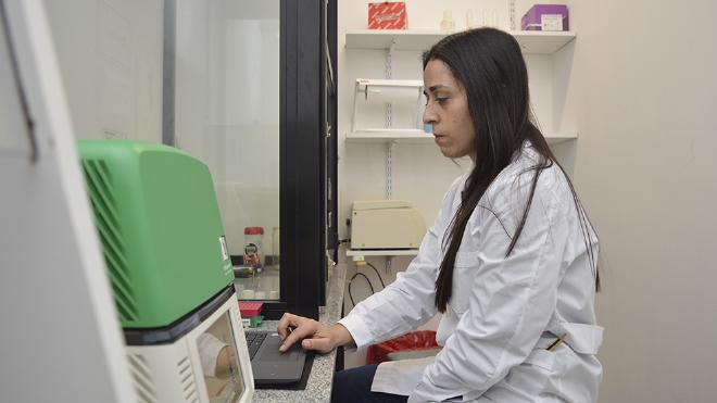 The correlation between histological studies and molecular biology techniques suggested improved maturation. Photo: CONICET Photography/R. Baridón.