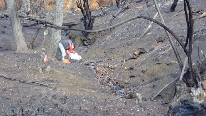 Estado de un arroyo postincendio en la región andino-patagónica en Chubut. Crédito de la imagen: Assef et all..