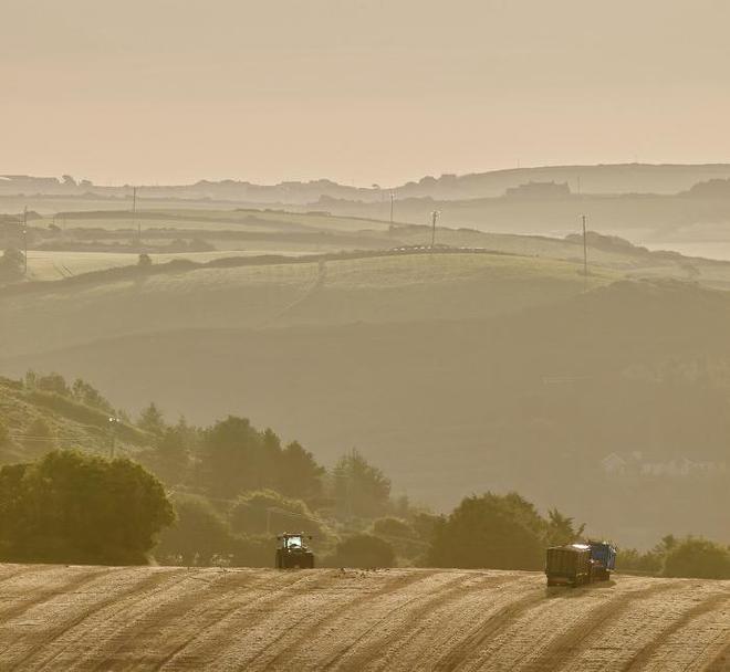 Researchers at the University of Bonn have used satellite images to investigate whether political measures have improved the quality of croplands in various countries around the globe. Image credit: Frank Luerweg