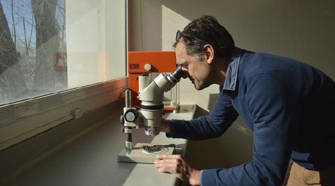 Ernesto Schwarz. Foto: CONICET Fotografía/R. Baridón.