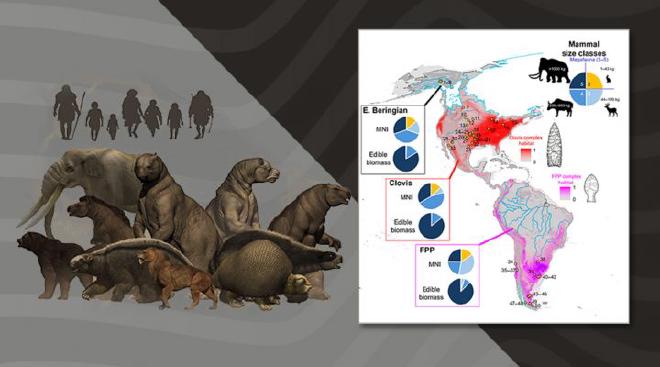 Los grupos tempranos iban ocupando distintos lugares del continente con un perfil de presa particular para la que estaban preparados económica y tecnológicamente. Crédito de la imagen: gentileza de los investigadores y Megafauna 3D Project
