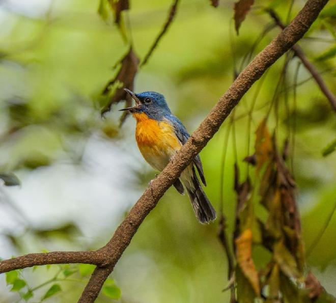 Imagen de Prakruthik Photography en Pexels.com