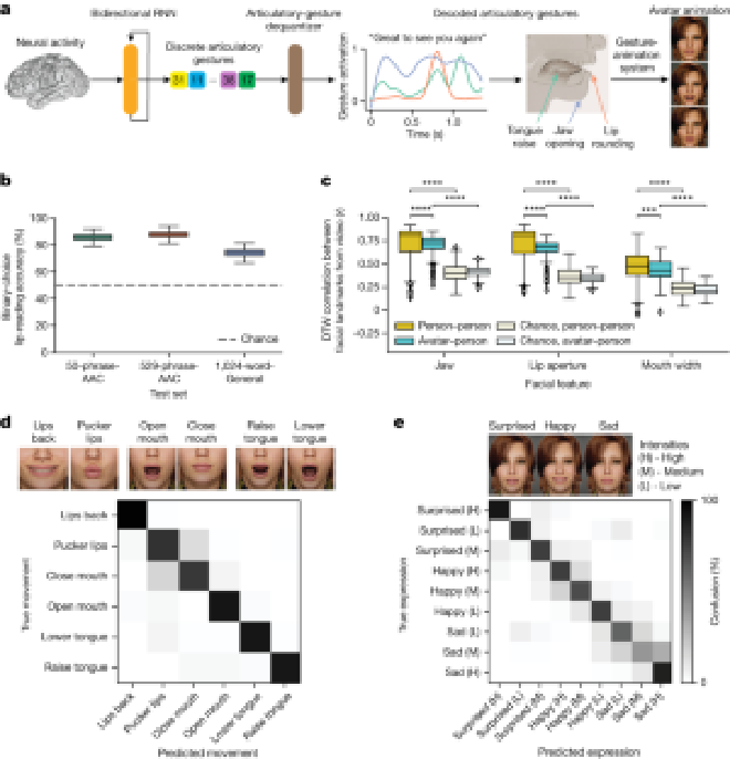 Decodificación directa de gestos articulatorios orofaciales a partir de la actividad neuronal para controlar un avatar. Crédito de la imagen: Edward F. Chang et al.