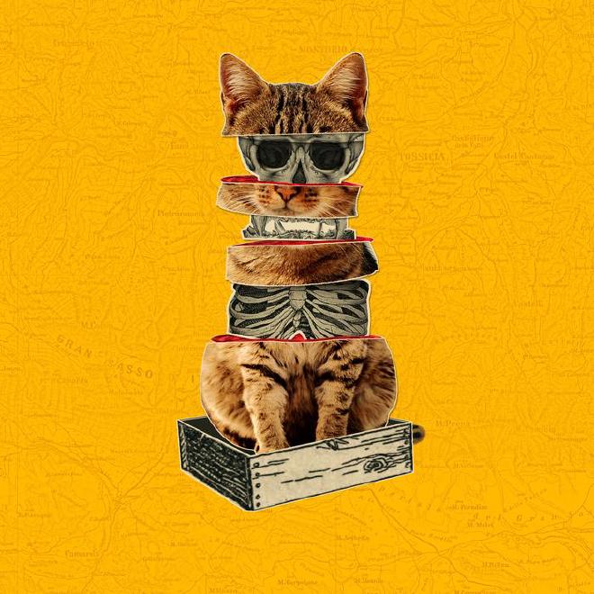 ¿Qué mecanismo provoca que el estado de superposición cuántica difusa de un gato vivo y muerto se precipite hacia un resultado determinado cuando Schrödinger abre su caja?. Crédito y copyright de la imagen: FQxI/Gabriel Fitzpatrick (2026)