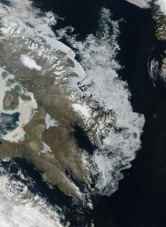 Esta imagen en color natural (similar a una fotografía) muestra el hielo invernal bordeando la costa de la isla de Baffin, en Canadá. Las nubes suelen cubrir el Ártico durante el verano del hemisferio norte, lo que hace que imágenes sin nubes como esta sean relativamente raras. Aunque aparecen algunas nubes tenues en las esquinas superior derecha e inferior izquierda de esta imagen, los delicados remolinos blancos que recorren el borde oriental de la isla de Baffin son hielo marino. Los remolinos a lo largo de la costa de la isla de Baffin han moldeado el hielo en remolinos entrelazados, especialmente cerca del estrecho de Cumberland. Más al norte, una larga franja de hielo se mantiene firme en la costa al este del casquete glaciar de Barnes. Aunque tiene menor tendencia a moverse con las corrientes, este hielo también muestra signos de debilitamiento, ya que sus bordes se astillan y los trozos se alejan flotando. El retroceso del hielo marino capturado en esta imagen parece típico del deshielo estacional. Sin embargo, desde principios del siglo XXI, la extensión del hielo marino ártico ha disminuido drásticamente, experimentando una serie de extensiones bajas en verano y escasas recuperaciones en invierno