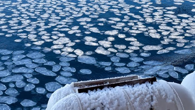 Témpanos de hielo marino. Crédito de la imagen: Alberto C. Naveira Garabato