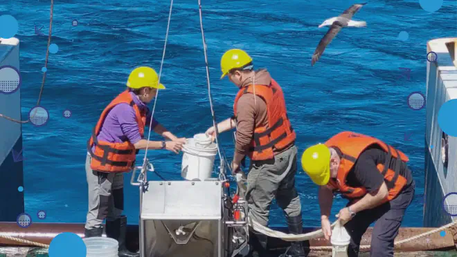 Working on board the Research Fishing Vessel Víctor Angelescu of INIDEP. Scientists handle a sample of zooplankton as it is collected. Image credit: Georgina Cepeda.