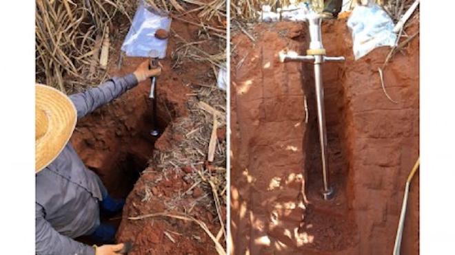 A researcher collects soil samples for analysis from different layers. The study quantified losses from various land use changes in each Brazilian biome. Image credit: Júnior Melo Damian/Embrapa Agricultura Digital